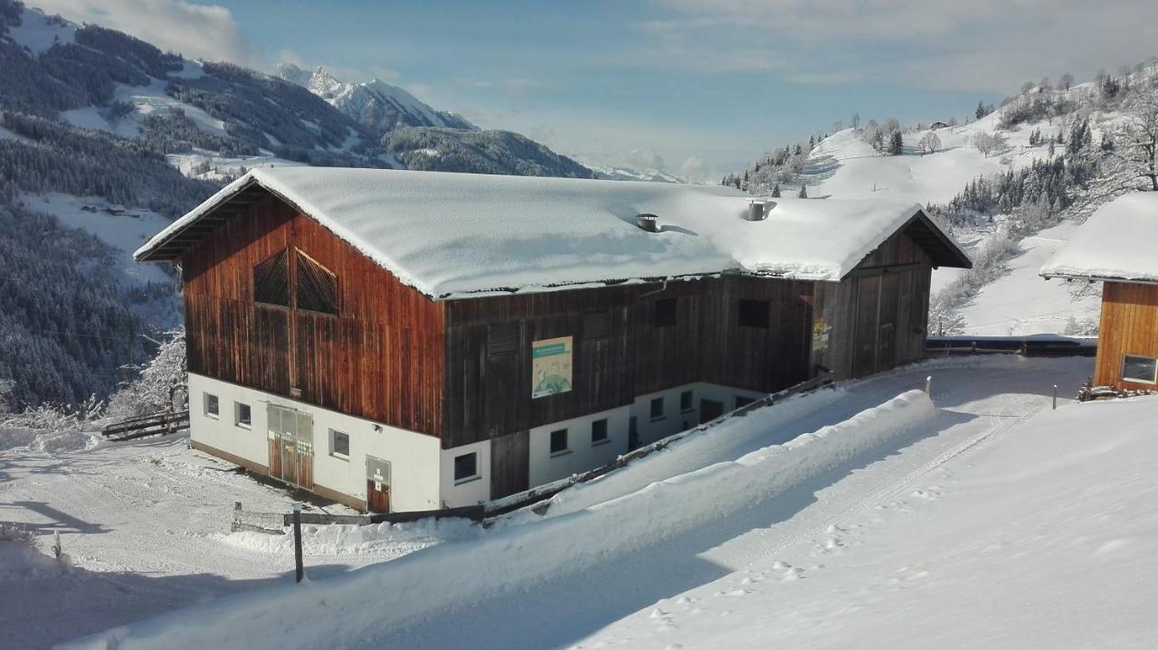 Ferienwohnung Bio Bauernhof Oberbenk Wagrain Exterior foto