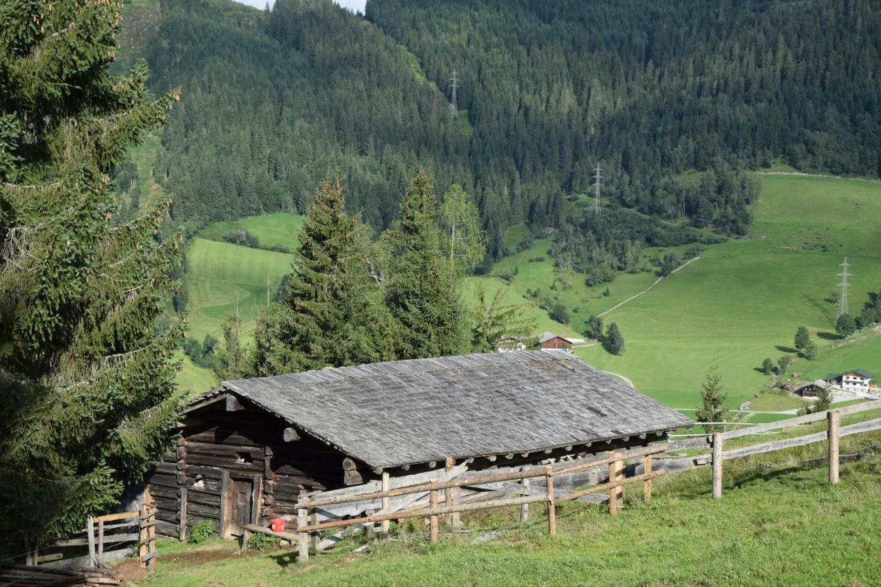 Ferienwohnung Bio Bauernhof Oberbenk Wagrain Exterior foto